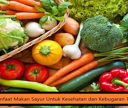 Manfaat Makan Sayur Untuk Kesehatan dan Kebugaran Tubuh